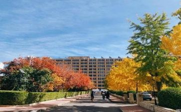 学校管理工作总结报告8篇