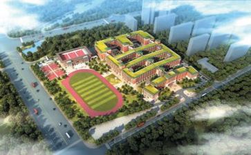 学校开展活动总结报告5篇