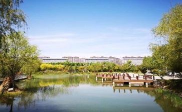 学校教师辞职报告范文8篇