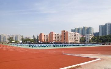 学校教师辞职报告7篇