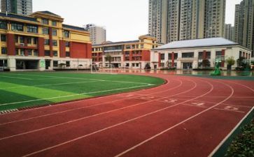 学校培训心得体会优秀8篇