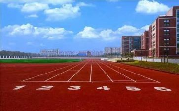 在学校参加活动总结6篇