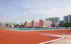 学校教师辞职报告7篇