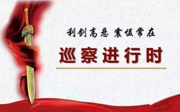 2023巡察工作总结8篇