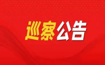巡察组组长述职报告6篇