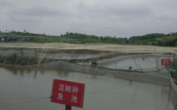 养殖培训心得7篇