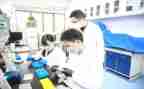 调查报告研究报告6篇