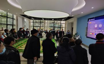 体育教师个人研修总结8篇