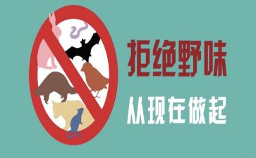 拒绝野味从我做起的演讲稿范文8篇