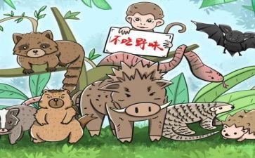 拒绝野味敬畏自然演讲稿7篇