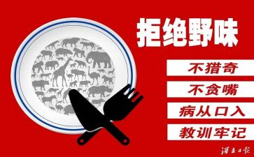 健康饮食拒绝野味演讲稿范文8篇