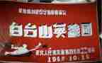 品英雄演讲稿6篇