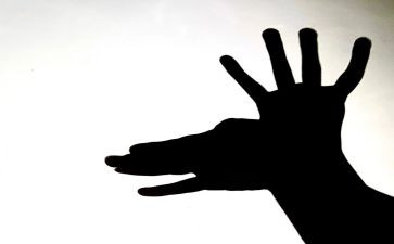 《影子》教案模板8篇