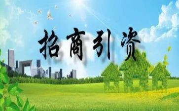 市招商引资工作汇报材料7篇