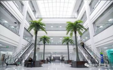 医院政总结报告6篇
