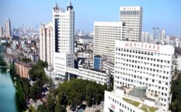 2024医院述职报告范文模板5篇