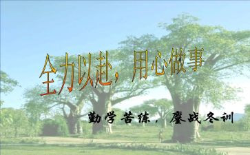 用心优秀作文6篇