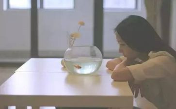 找优点的作文通用5篇