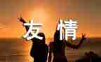 友情的作文参考6篇
