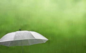 写雨天的作文800字7篇