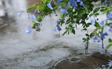 雨的故事演讲稿推荐8篇