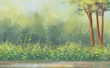 雨来红色故事演讲稿优秀7篇
