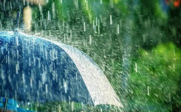 关于雨读后感精选6篇