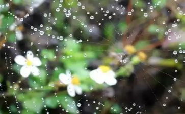 我是雨作文500字参考6篇