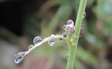 散文雨读后感模板6篇