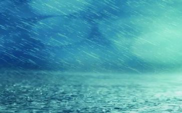 《雨果》读后感8篇