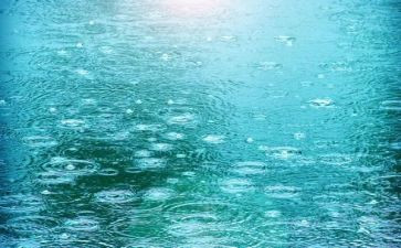雷雨读后心得7篇