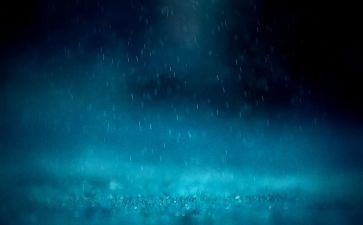 雨的故事演讲稿参考8篇