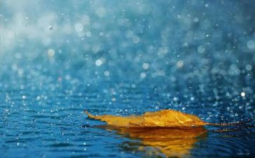 英雄雨来的事迹最新5篇