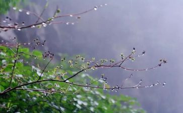 《小雨点》教案8篇
