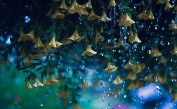 雨来红色故事演讲稿8篇