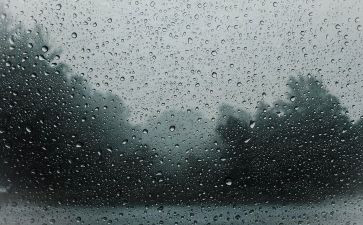 有关《雨》的读后感参考6篇