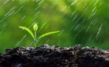 雷雨的心得精选8篇