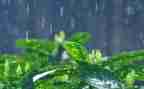 戏剧雷雨读后感8篇