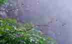 我是雨作文优质6篇