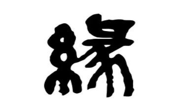 2024生命缘观后感5篇