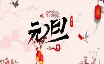元旦的心得最新5篇