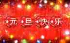 关于元旦的演讲稿800字7篇