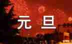 小学生迎元旦演讲稿优质8篇
