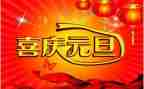 庆元旦作文600字7篇