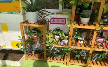 幼儿园培训教师总结通用5篇
