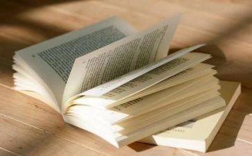 阅读报告总结报告6篇