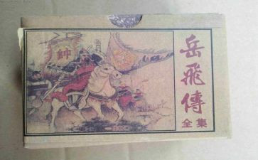 读岳飞传有感作文6篇