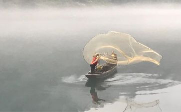 金鱼和渔夫的故事读后感6篇