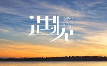 遇见的作文600字精选7篇