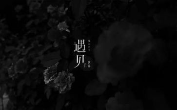 遇见的人演讲稿5篇